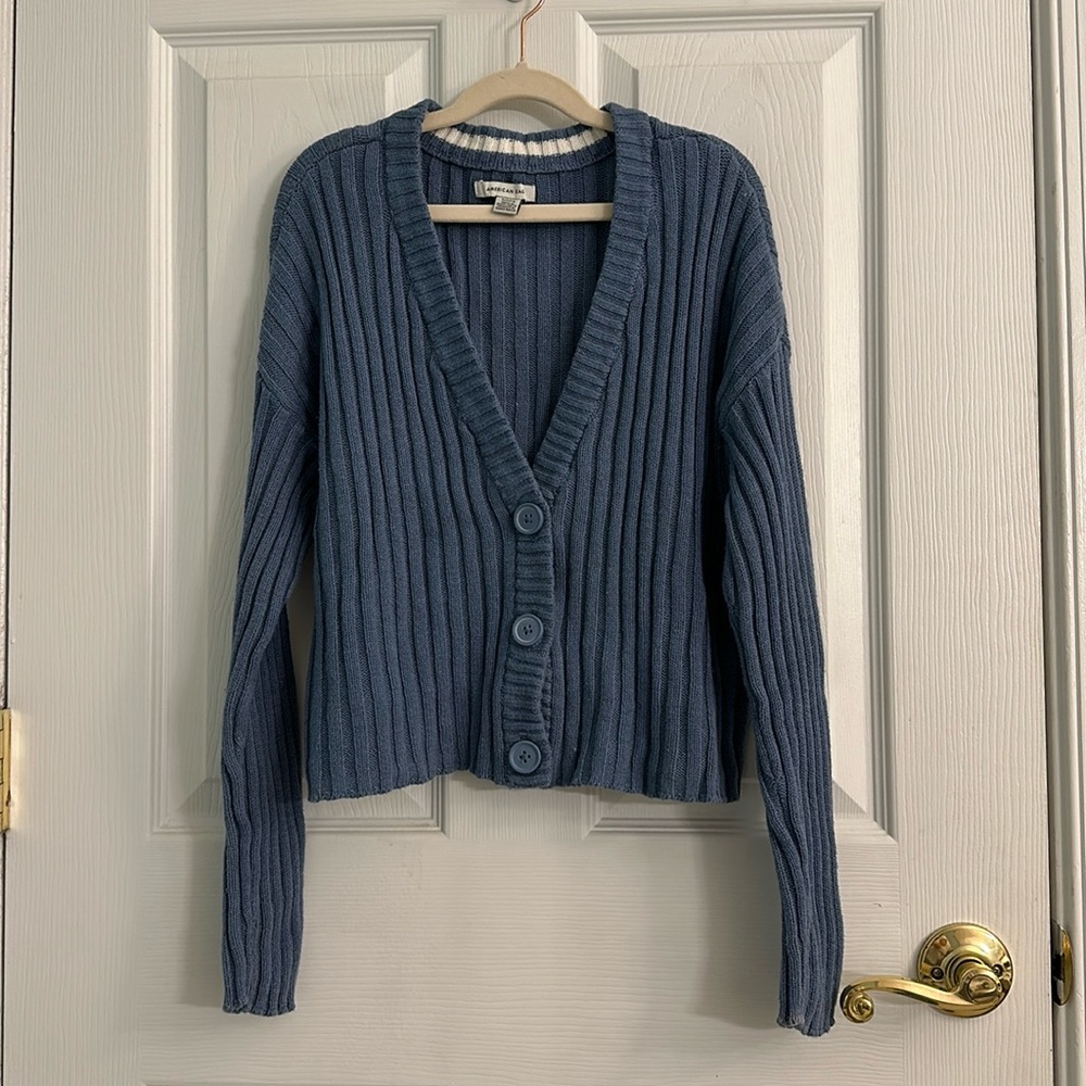 American Eagle Cardigan Sweater
